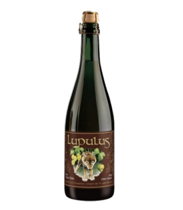 BIRRA LUPULUS Brune 0.75 x 12